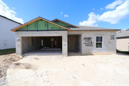 New construction Single-Family house 12227 Hilltop Farms Dr, Dade City, FL 33525 Sentinel- photo 38 38