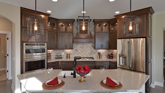 New construction Single-Family house 375 Josef Circle Ft, Fort Lupton, CO 80621 plan Portico - image 10