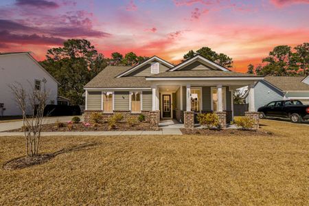 New construction Single-Family house 1957 Parish House Cir, Johns Island, SC 29455 - image