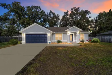 New construction Single-Family house 3039 Se 142Nd Ln, Summerfield, FL 34491 - image
