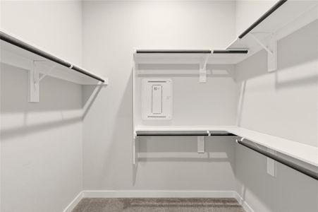 New construction Single-Family house 2209 Grenache Dr, Unit 34, Round Rock, TX 78664 plan Avery - image 19