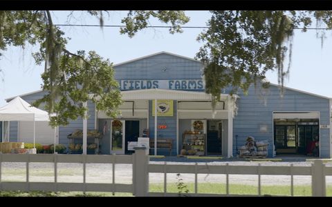 New construction Townhouse house 422 Caledon Ct, Johns Island, SC 29455 - image