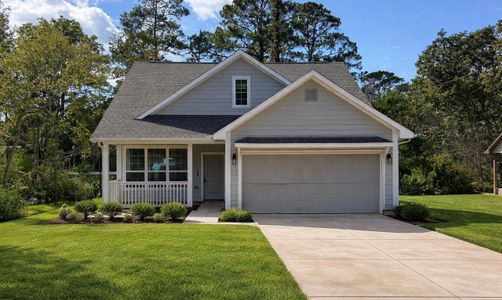 New construction Single-Family house 111 Sharon Ln, Livingston, TX 77351 - image