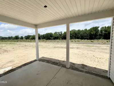 New construction Single-Family house 415 Creeks Edge Dr, Pikeville, NC 27863 - image