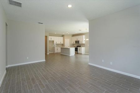 New construction Single-Family house 905 Chasetree Ln, St. Cloud, FL 34771 Mulberry- photo 7 7