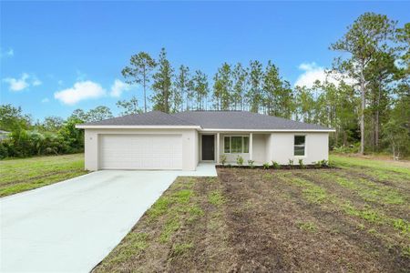 New construction Single-Family house Williston, FL 32696 plan Lynette - image
