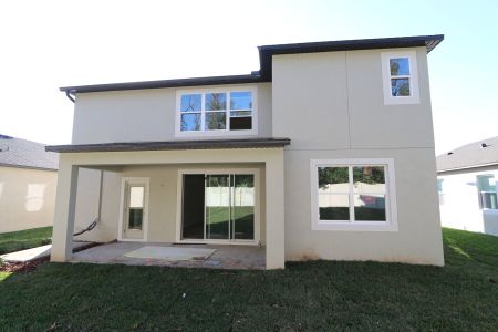 New construction Single-Family house 12008 Hilltop Farms Dr, Dade City, FL 33525 Alenza- photo 107 107