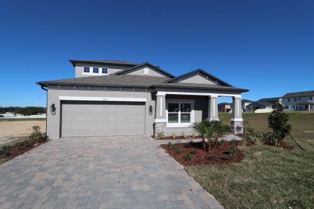 New construction Single-Family house 38357 Palomino Dr, Dade City, FL 33525 Picasso Bonus- photo 28 28