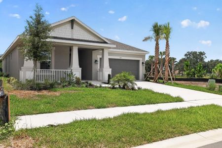 New construction Single-Family house 3021 Parapet Terrace Pl, Plant City, FL 33565 plan Aruba - image