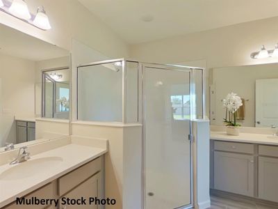 New construction Single-Family house 191 Bottle Brush Dr, Haines City, FL 33844 Mulberry- photo 15 15