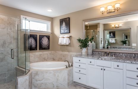 New construction Single-Family house 2520 Wilton Ct, Cumming, GA 30041 plan Waterstone - image 6