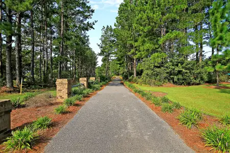 New construction Single-Family house 511 Verdi Dr, Summerville, SC 29486 HENNINGER- photo 61 61