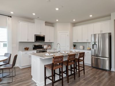 The kitchen is complete with large island and walk-in pantry.