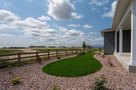 New construction Single-Family house 6571 Arabesque Lp, Colorado Springs, CO 80924 plan The Lanewood - image