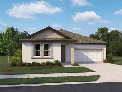 New construction Single-Family house 11131 Tire Swing Dr, Parrish, FL 34219 plan Douglas - image