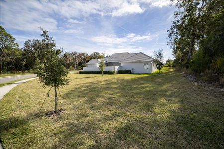 New construction Single-Family house 110 New Leatherwood Dr, Palm Coast, FL 32137 plan The Courtyard IV - image