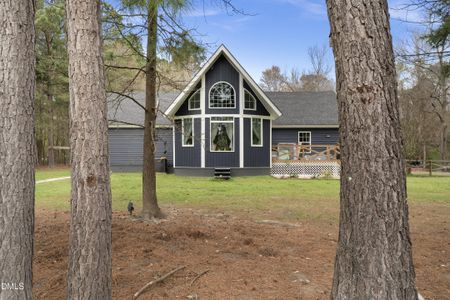 New construction Single-Family house 259 Heathers Folly Rd, Watha, NC 28478 - image