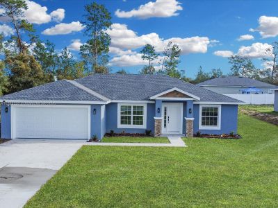 New construction Single-Family house 16617 Sw 31St Cir, Ocala, FL 34473 null- photo 0