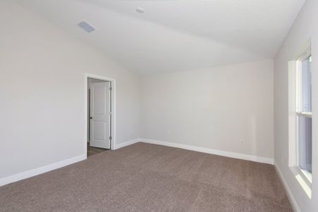 New construction Single-Family house 6153 Sw 97Th St, Ocala, FL 34476 plan Palmetto - image 17