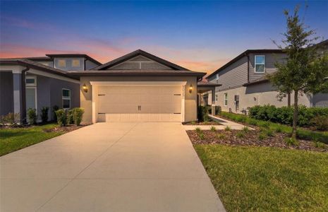 New construction Single-Family house 9025 Wildlight Trl, Wildwood, FL 34785 plan Daylen - image