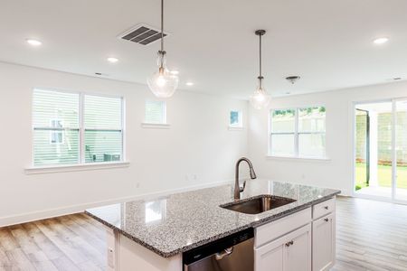 New construction Single-Family house 27 Cypress Moss Ct, Lillington, NC 27546 plan Summit - image 9