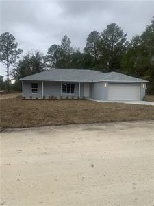 New construction Single-Family house 16201 Crider Rd, Brooksville, FL 34614 - image