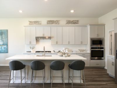 Our Distinct interior package includes white quartz countertops and cool grey EVP flooring.