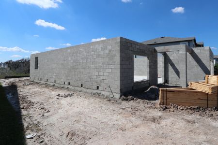 New construction Single-Family house 5719 Maydale Ave, Wesley Chapel, FL 33545 Coronado II- photo 10 10