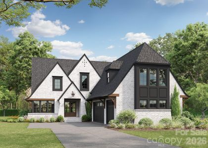 New construction Single-Family house 714 Deodar Cedar Dr, Weddington, NC 28104 - image