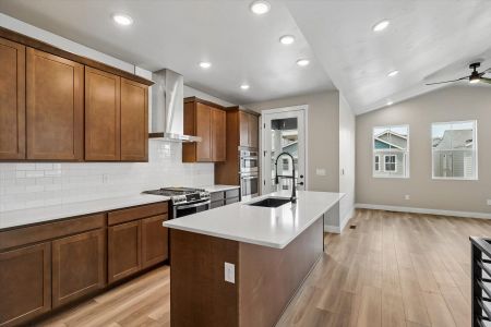 New construction Single-Family house 3041 Curly Grove, Colorado Springs, CO 80922 plan Clover - image 9