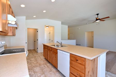 New construction Single-Family house 437 Vivid Ln, Windsor, CO 80550 null- photo 14 14