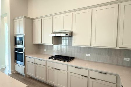 New construction Single-Family house 17313 Silverman Dr, Pflugerville, TX 78660 plan Johnson - image 12