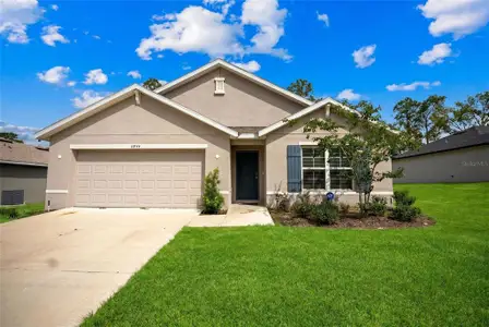 New construction Single-Family house 14944 Sw 66Th Avenue Rd, Ocala, FL 34473 - image