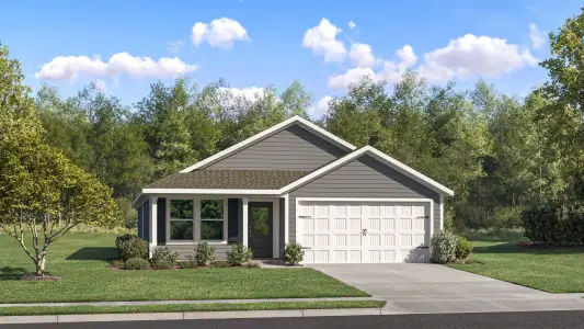New construction Single-Family house 100 Mapleview Dr, Defuniak Springs, FL 32435 plan Newlin - image