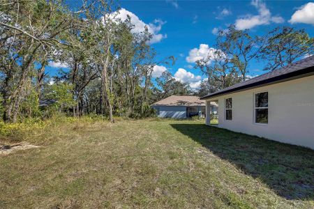 New construction Single-Family house 8319 Begonia St, Spring Hill, FL 34608 null- photo 34 34