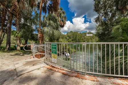 New construction Single-Family house 19610 Sw 93Rd Pl, Dunnellon, FL 34432 null- photo 47 47