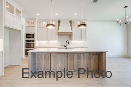 New construction Single-Family house 500 Nadia, Aledo, TX 76008 plan The Houston - image 4