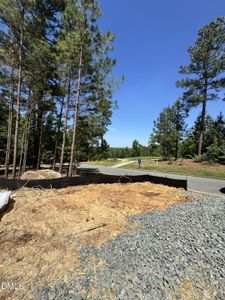 New construction Single-Family house 45 Quail Pt, Pittsboro, NC 27312 plan R1 - image 19