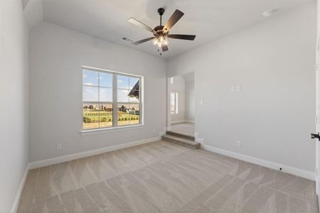 New construction Single-Family house 4403 Devon Dr, Parker, TX 75002 null- photo 30 30