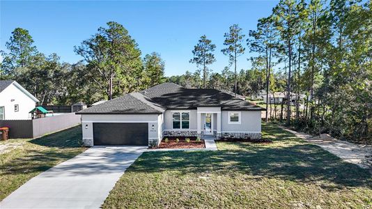 New construction Single-Family house 6822 Sw 152Nd St, Ocala, FL 34473 - image