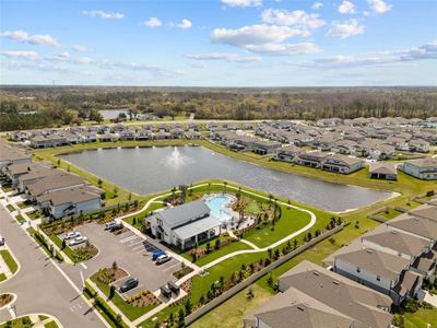 New construction Single-Family house 20723 Balsam Hill Rd, Land O' Lakes, FL 34638 Medina- photo 44 44