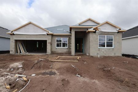 New construction Single-Family house 2711 Ravencliffe Ter, Oviedo, FL 32765 plan Corina II - image