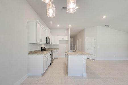 Waterstone 62 by Adams Homes in Fort Pierce - photo 28 28