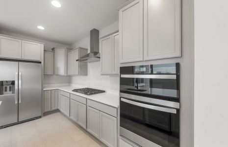 New construction Single-Family house 7846 W Cactus Wren Wy, Florence, AZ 85132 plan Haven - image 12