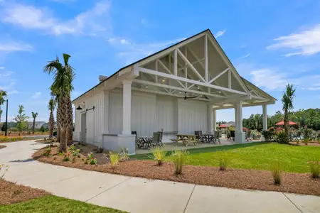 New construction Single-Family house 115 Sawlog Dr, Summerville, SC 29486 plan Webster II - image