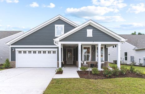 New construction Single-Family house 407 Lamer Lp, Shallotte, NC 28470 plan Stellar - image