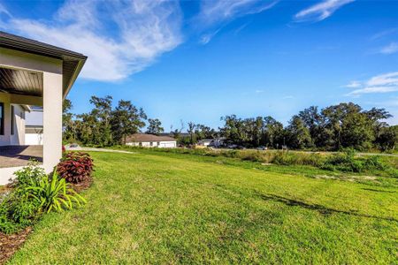 New construction Single-Family house 5405 Delphi Hills Circle, Lakeland, FL 33812 The Ridgewood- photo 5 5