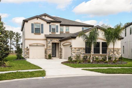 New construction Single-Family house 14820 Summer Branch Drive, Lithia, FL 33547 - photo 0