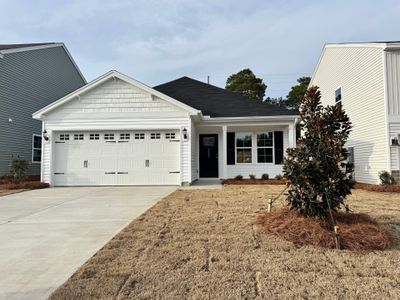 New construction Single-Family house 3647 Stedding Pl, Lexington, SC 29073 plan Brunswick - image