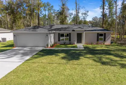 New construction Single-Family house 11181 N Denice Pt, Dunnellon, FL 34434 - image
